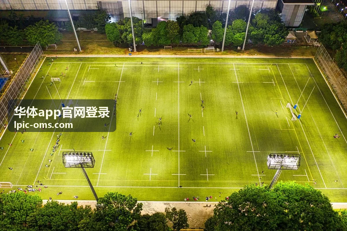 华体app官网登录赛事数据功能说明封面